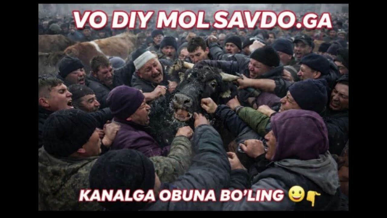 ДАХШАТ БАЛИКЧИ  БОЗОРДА ЖАНЖАЛ Б😱😱ТУЛИК КУРИНГ 