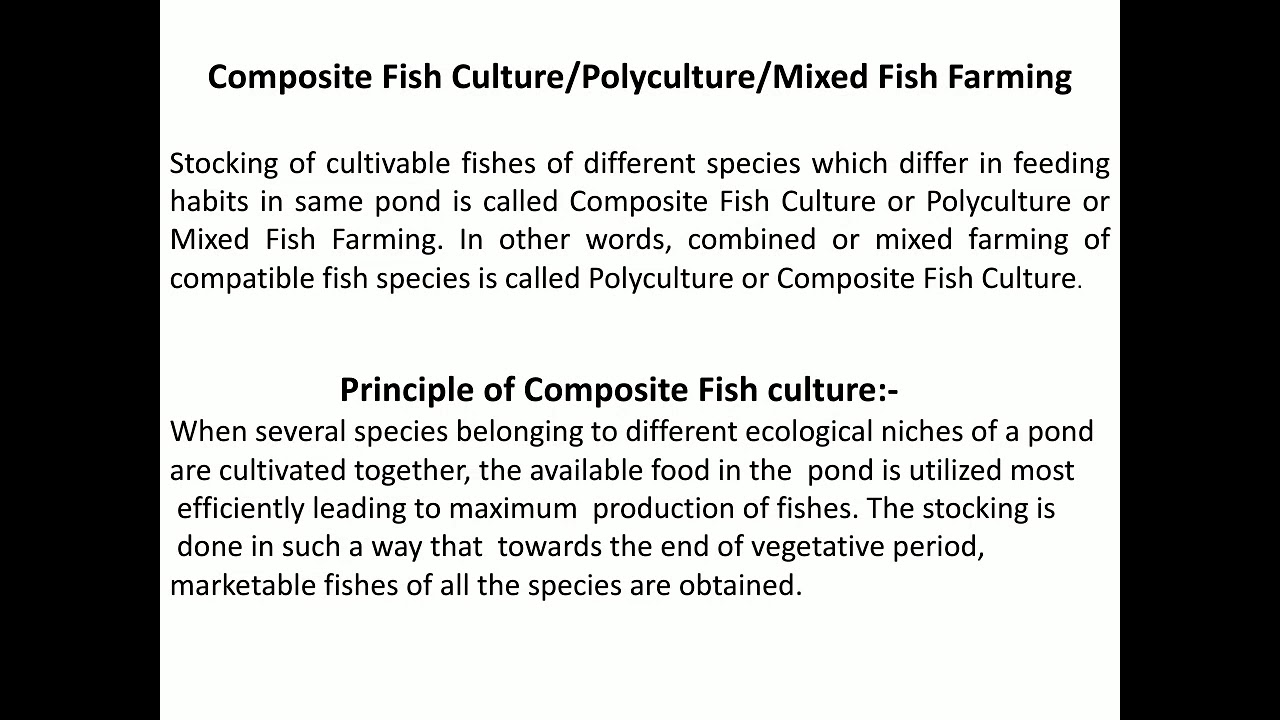 composite fish culture
