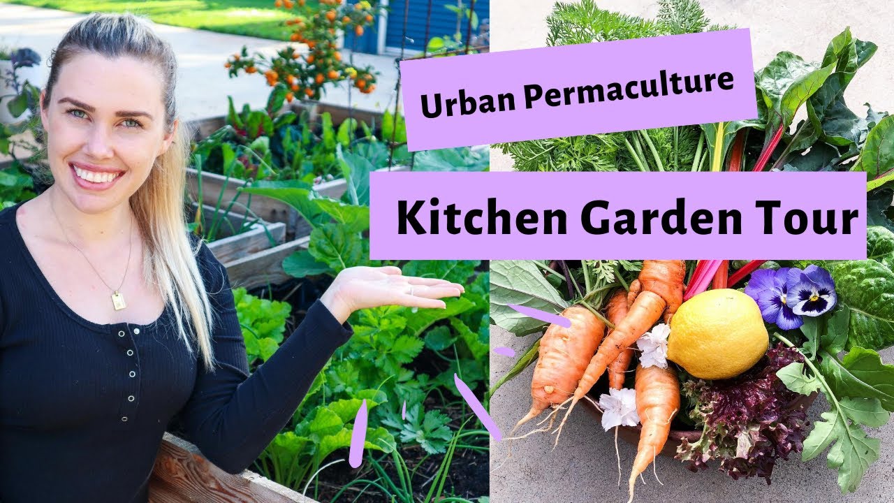 Urban Permaculture KITCHEN GARDEN Tour // Zone 1 Permaculture Australia // Pallet Planter Boxes