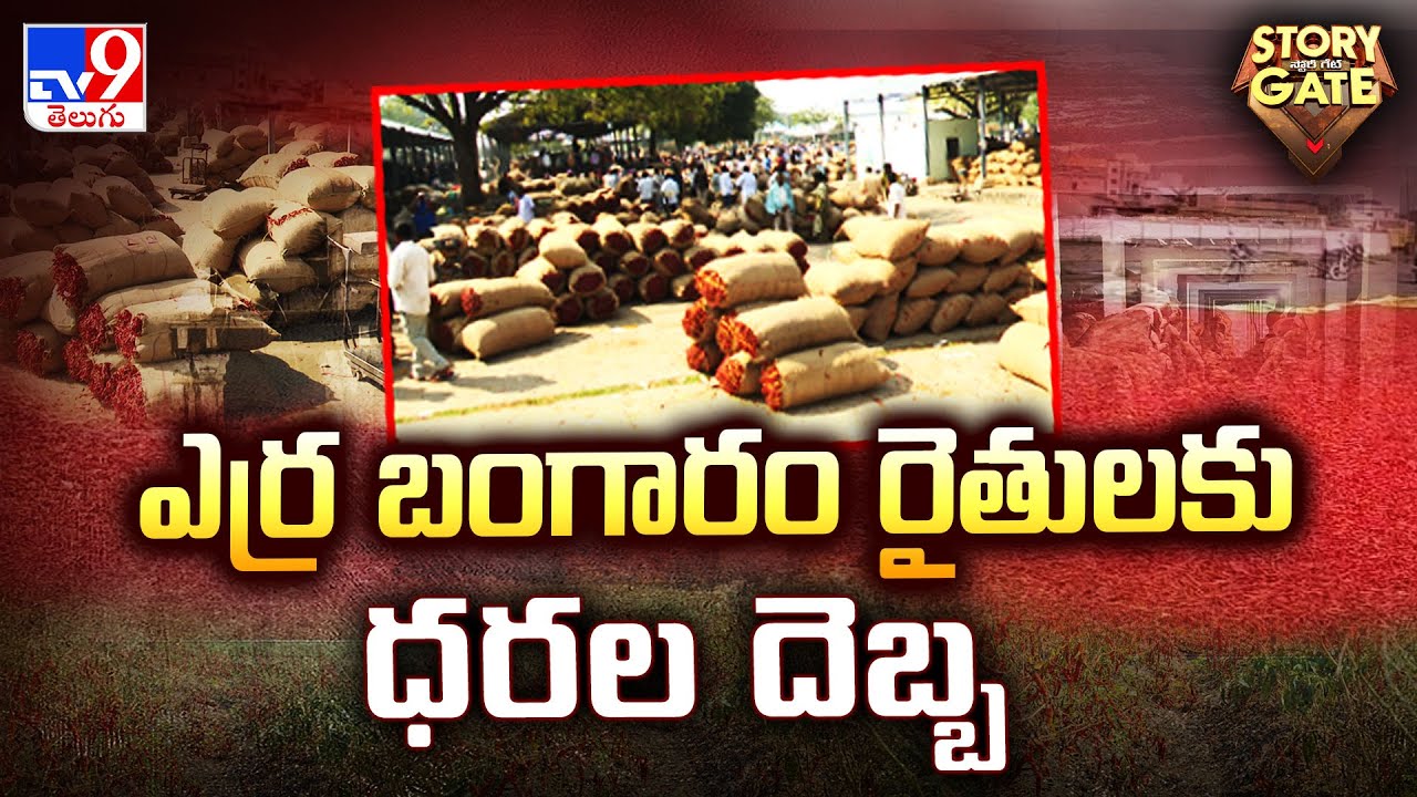 Story Gate : ఎర్ర బంగారం రైతులకు ధరల దెబ్బ | Warangal Mirchi Farmers - TV9