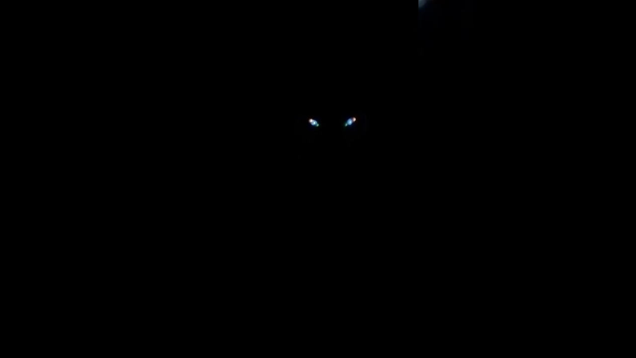 Pitch black in my bathroom, looking into the mirror 🪞 👻