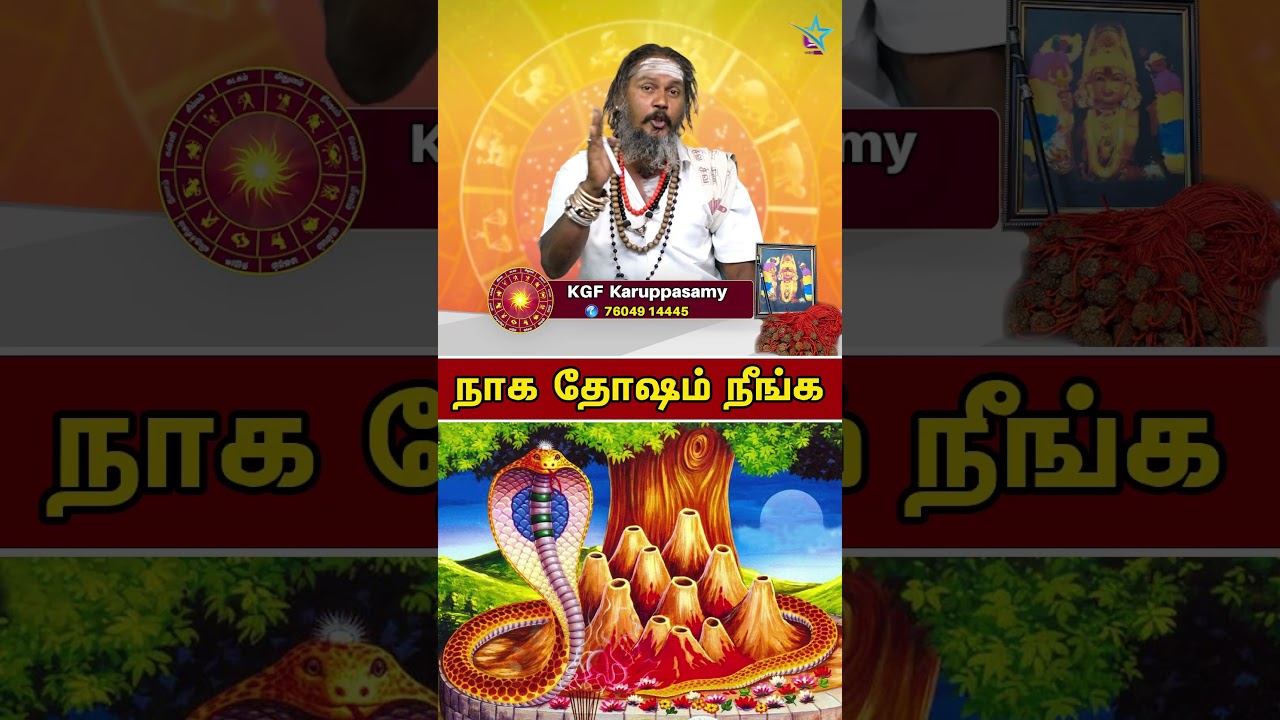 நாக தோஷம் நீங்க | Naga Dosham | KGF Karuppasamy Jothidar |  Tamil Star Tv Salem