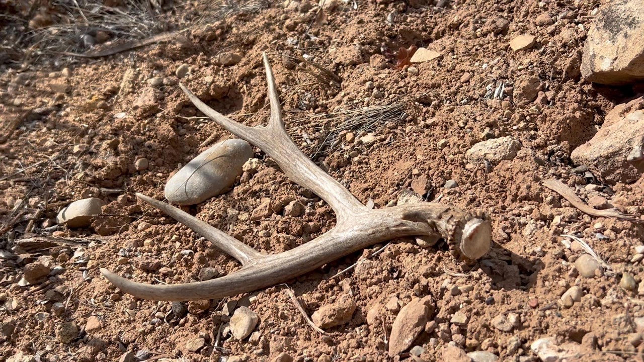 Brown Deer Sheds part 5