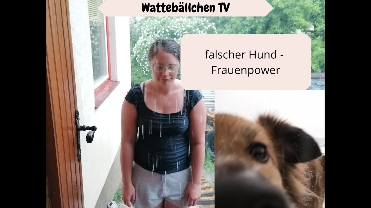 Falsche Hundewahl