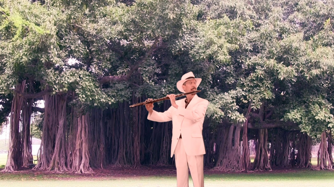 THIS MASQUERADE ALTO FLUTE COVER