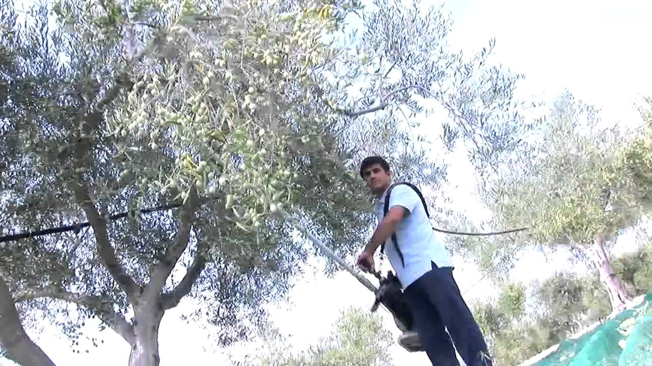 Scuotitore Cifarelli SC105