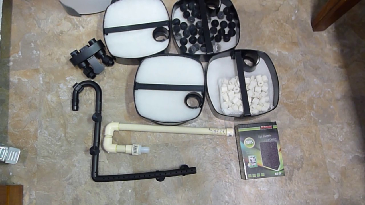 Turtle Tank Sunsun Canister Setup