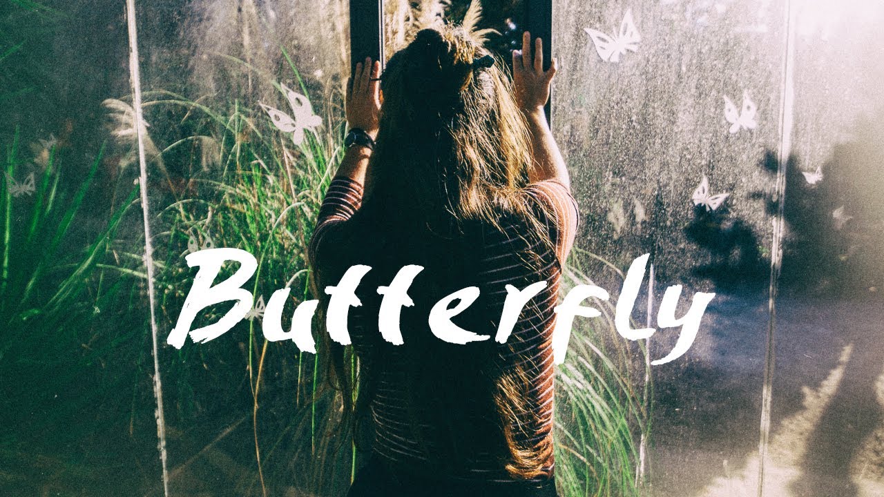 Butterfly - Training Course - From Caterpillar to Butterfly