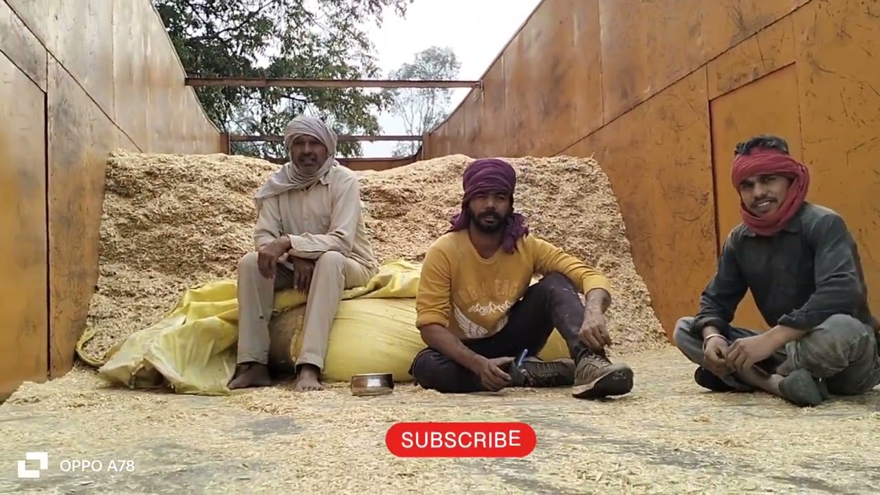today turi price/tudi da rate/tudi price in haryana /ਤੂੜੀ ਦੇ ਰੇਟ ਵਿੱਚ ਤੇਜੀ
