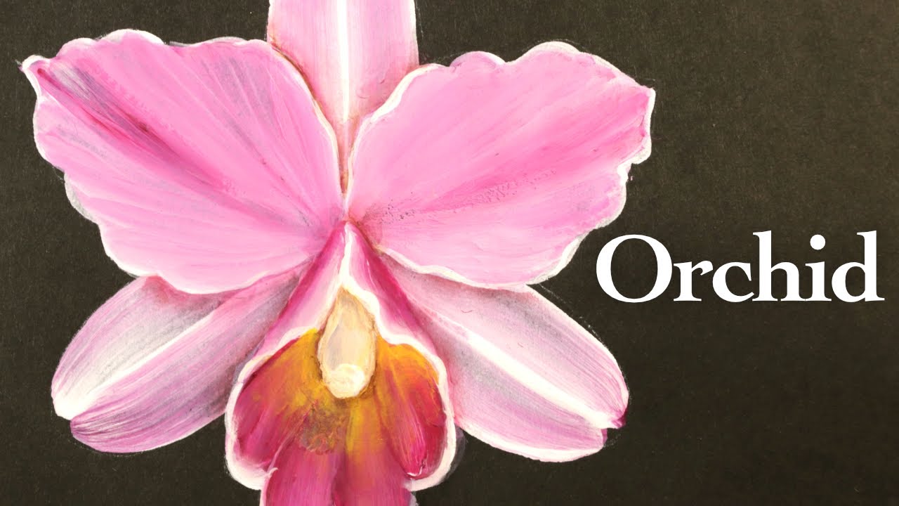 Orchid acrylic painting tutorial with round brush | cattleya orchid | pink