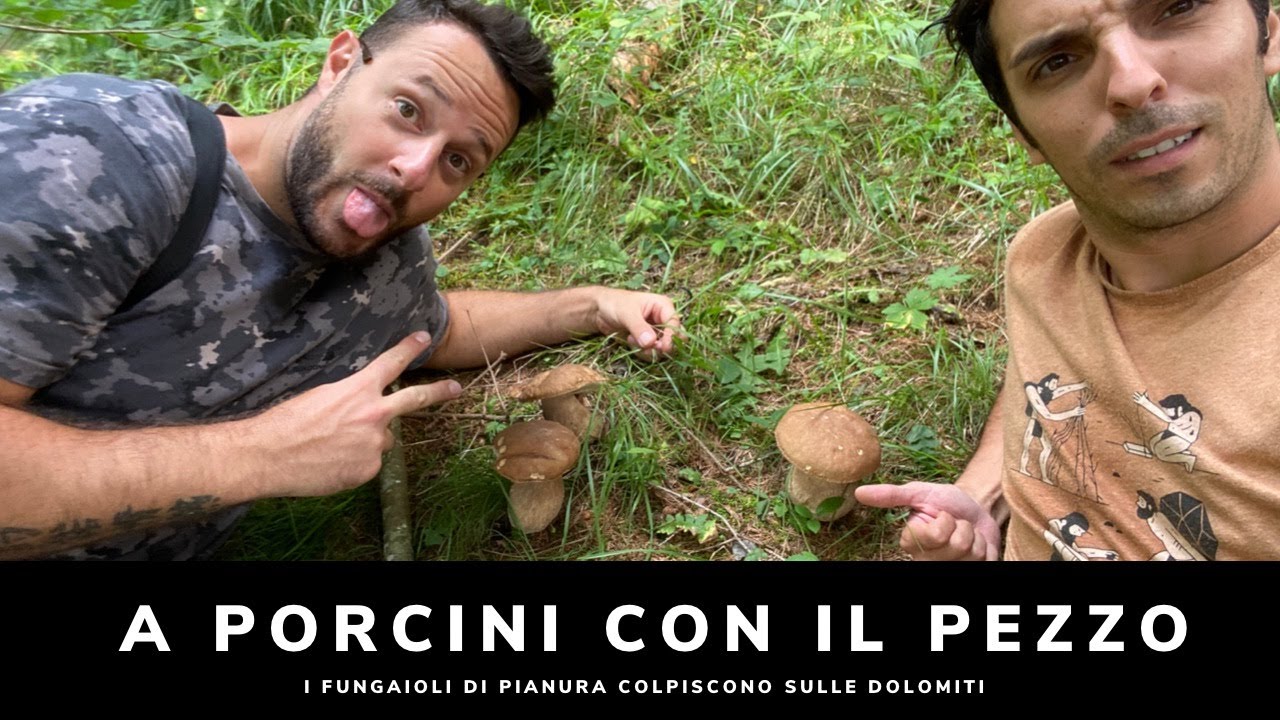 A porcini con il Pezzo! - Fungaioli di pianura colpiscono sulle Dolomiti, oltre 30 porcini!