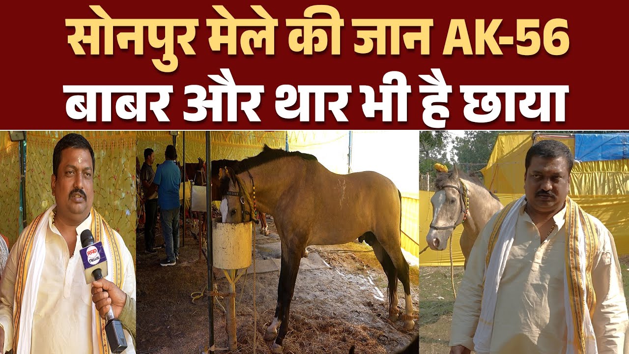 सोनपुर मेले में 25 लाख के बाबर, अनमोल AK-56 और थार का जलवा, मालिक रुदल यादव ने सुनाई कहानी