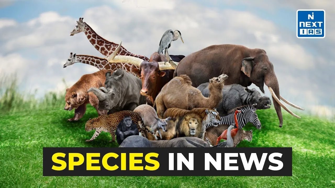 🌿 Species in News (1 - 16 July 2025) 🌍 | UPSC | NEXT IAS