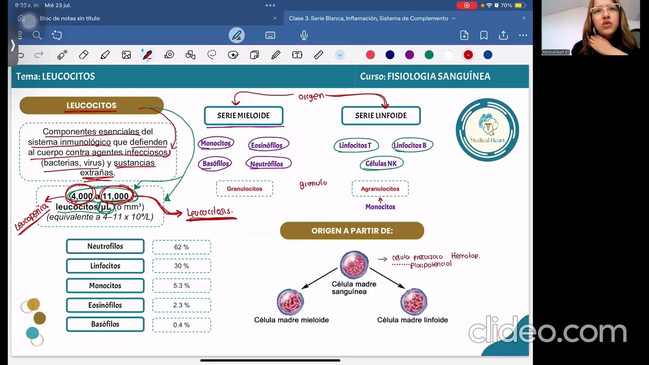 FISIOLOGÍA:  Serie Blanca, Inflamación, Sistema de Complemento