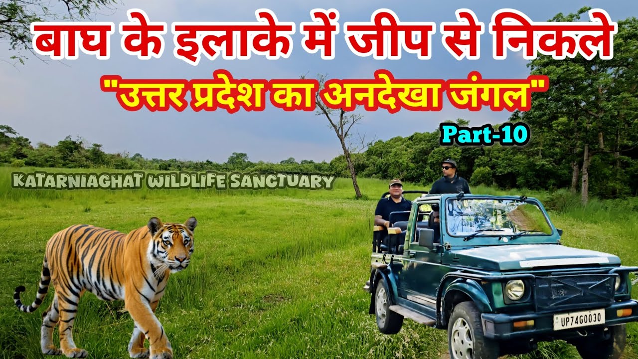 उत्तर प्रदेश का सबसे खतरनाक और अनदेखा जंगल | Katarniaghat Wildlife Sanctuary | Jungle Safari Dudhwa