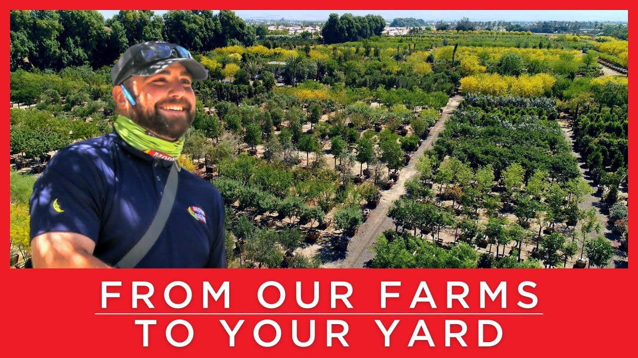 From Our Farms To Your Yard: The Moon Valley Difference