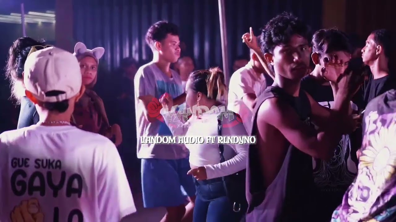 PAPSEL DMP || VANDOM AUDIO FT. ROLANDYNO