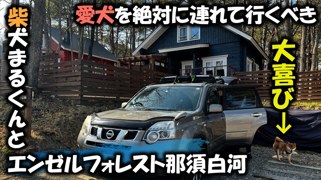 【X-TRAIL STORY #02】エンゼルフォレスト那須白河ドライブ【柴犬マル】