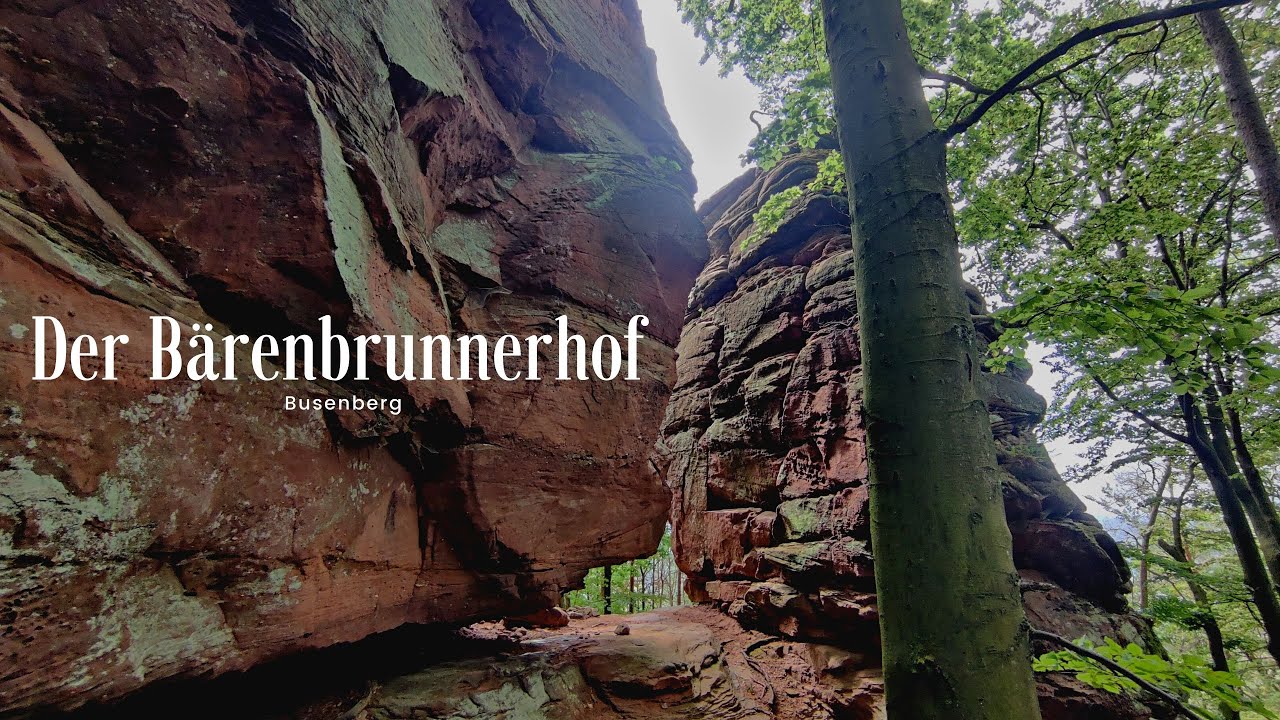 Bärenbrunnerhof | Pfälzerwald | Felsenheimat | Kletterparadies