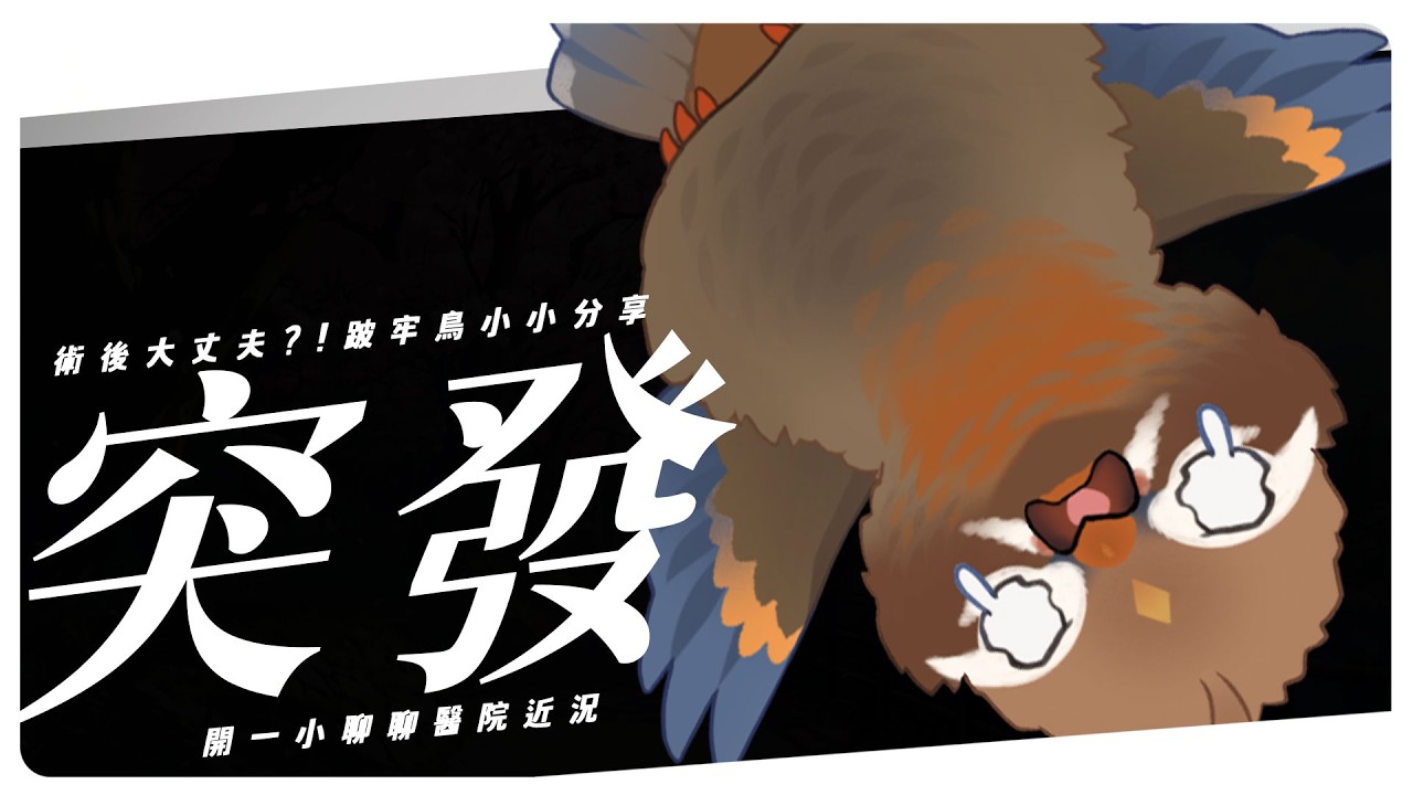 【突然小碧談】跛牢鳥小開✨跟大家報平安+分享一下開刀那幾天