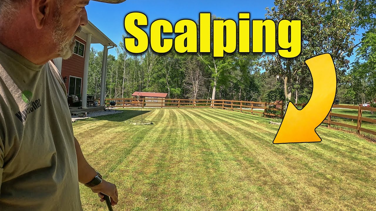 Spring Lawn Scalping and Fertilizing