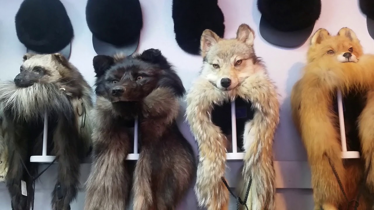An Onion in Alaska: Alaska Fur Exchange, what's in a name