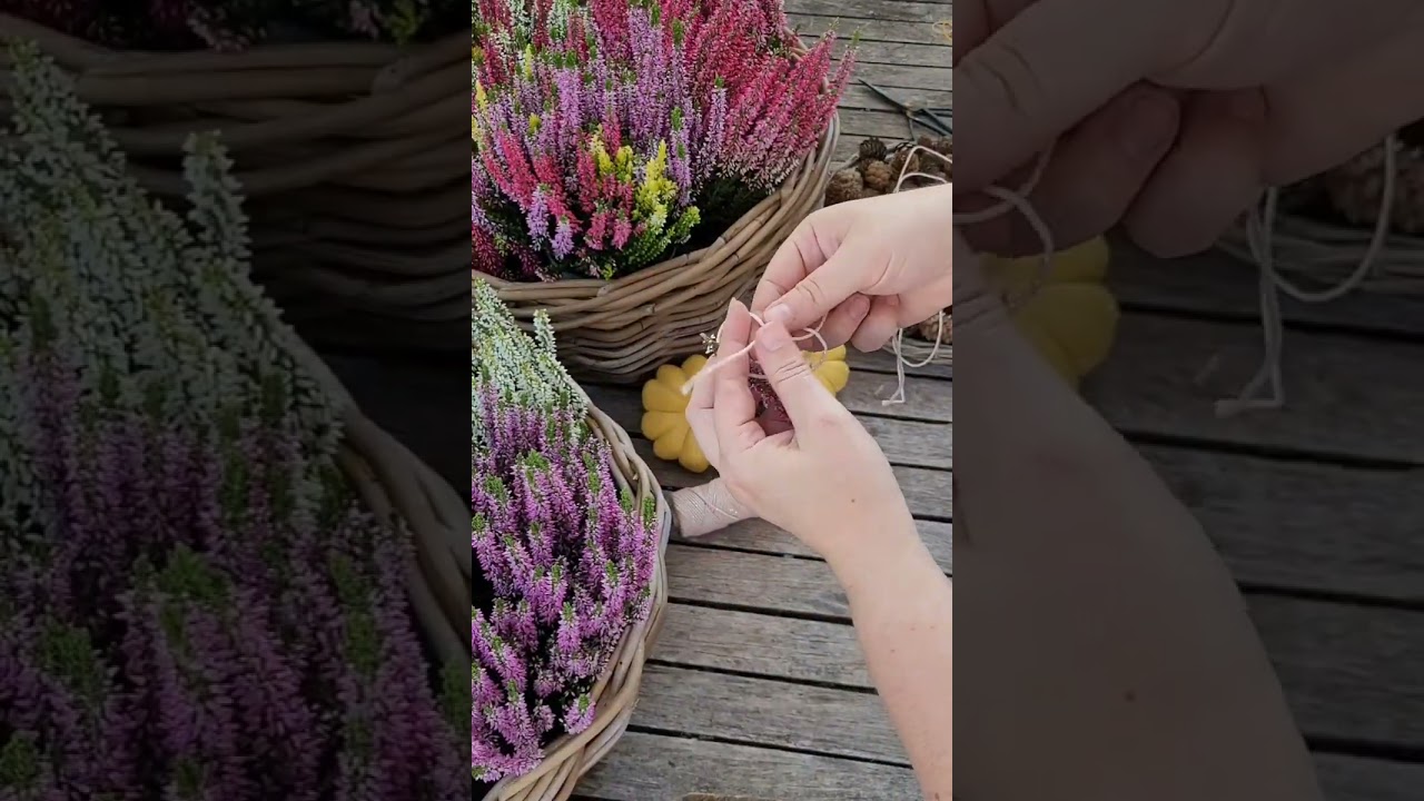 Diy - Herbst Deko : ganz einfach bunte Girlande aus Natumaterial ( Heide / Calluna / Zapfen )