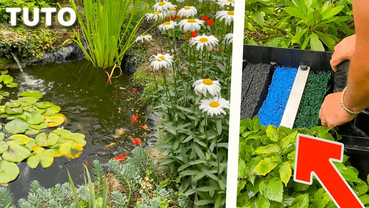 BASSIN DE JARDIN - POISSONS ROUGES / NETTOYAGE FILTRATION !!!