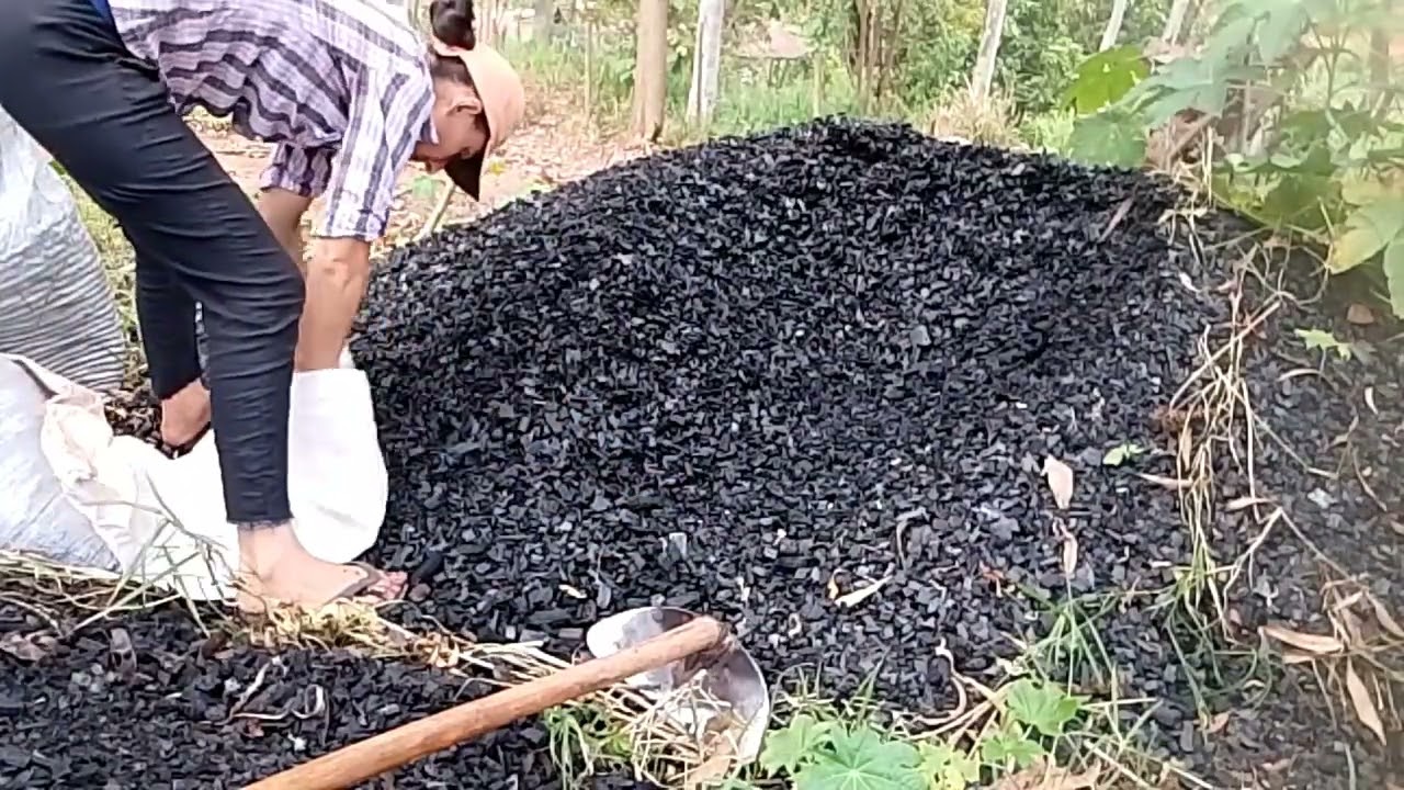 Mostrando uma das carvoarias que busco munha de carvão pras minhas suculentas 😍🙏💯