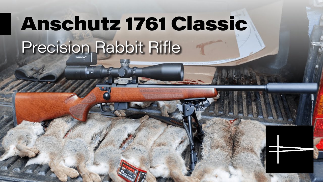 Anschutz 1761 Classic против 13 кроликов