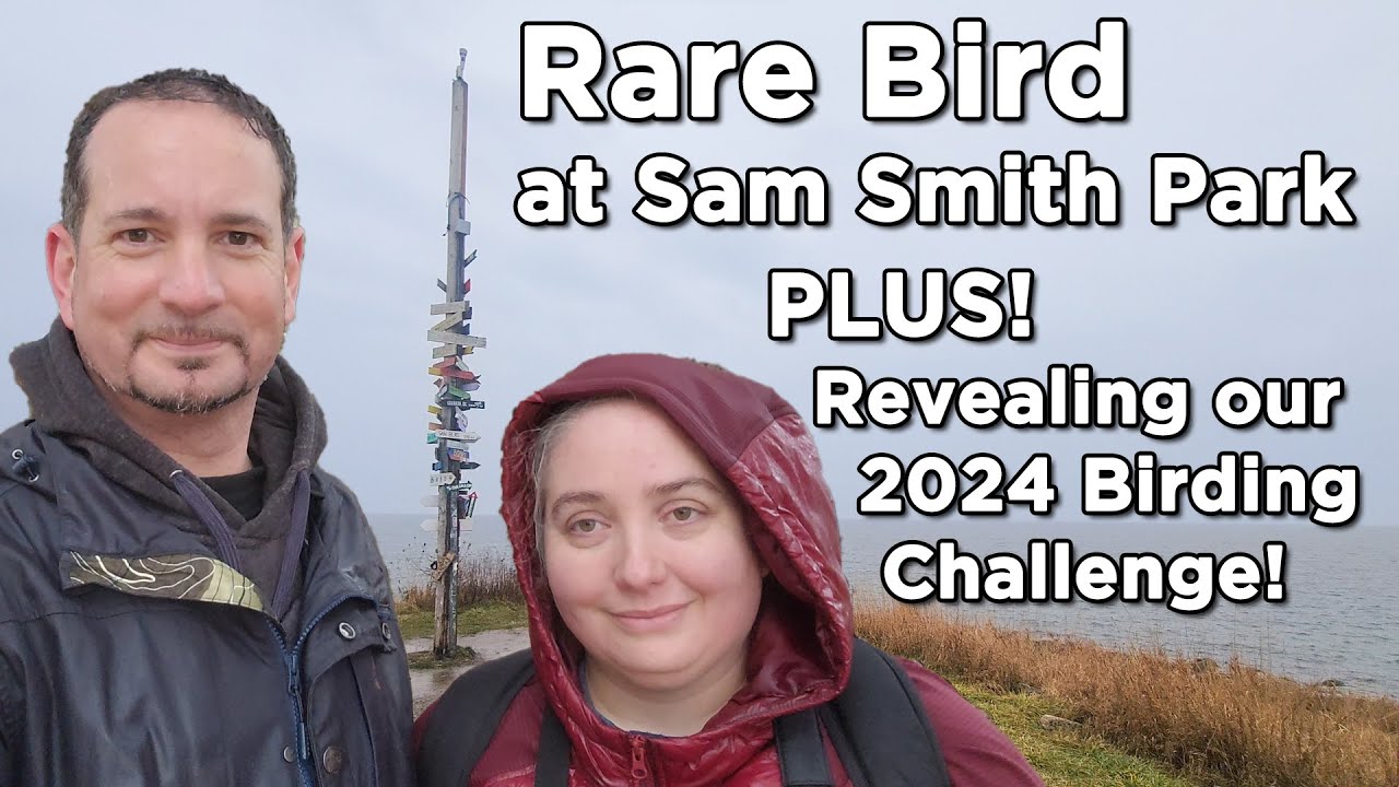 Rare Bird! Eared Grebe in Toronto plus Our 2024 CHALLENGE REVEALED