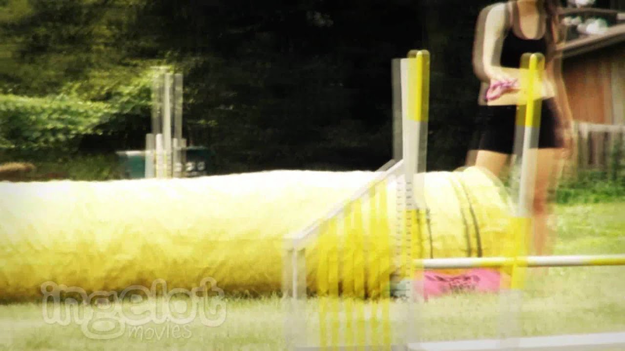 Agility camp FREEX 2012 (HD)