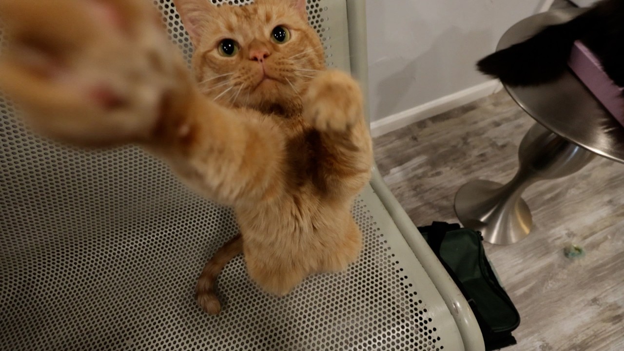 He wants to help