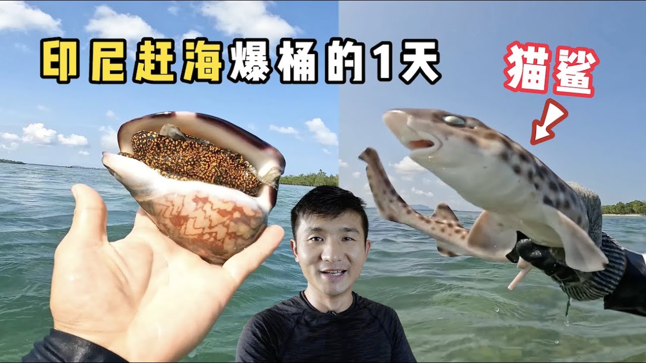 《印度尼西亚》第14天：和李哥PK赶海，徒手抓鲨鱼，扇贝随处可见！#旅行 #印度尼西亚 #旅行攻略 #环球旅行 #indonesia #赶海