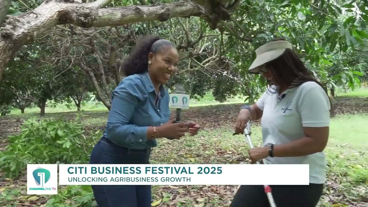 Inside Hendy Farms: Realities of Farming in Ghana | Citi Business Festival 2025