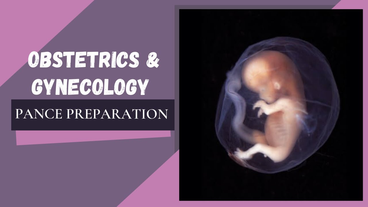 Reproductive System: PANCE Preparation