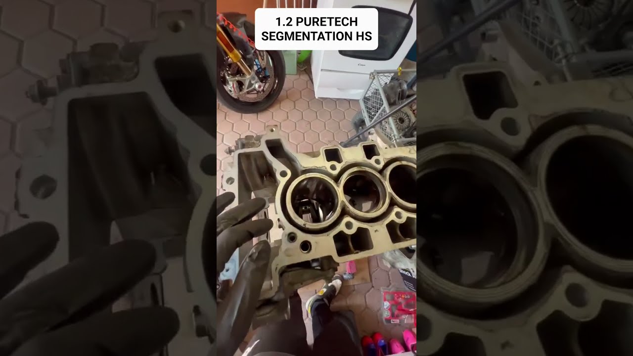 MOTEUR 1.2 PURETECH SEGMENTATION HS