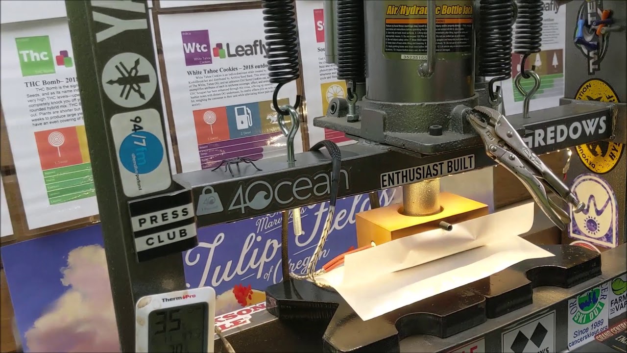 Rosin press Blue Cheese 19% yield