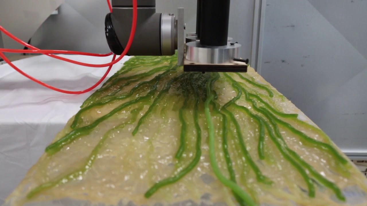 What does bio-integrated design look like?