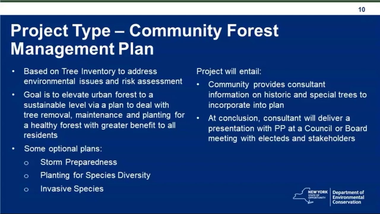 2019 Urban and Community Forestry Grants Program