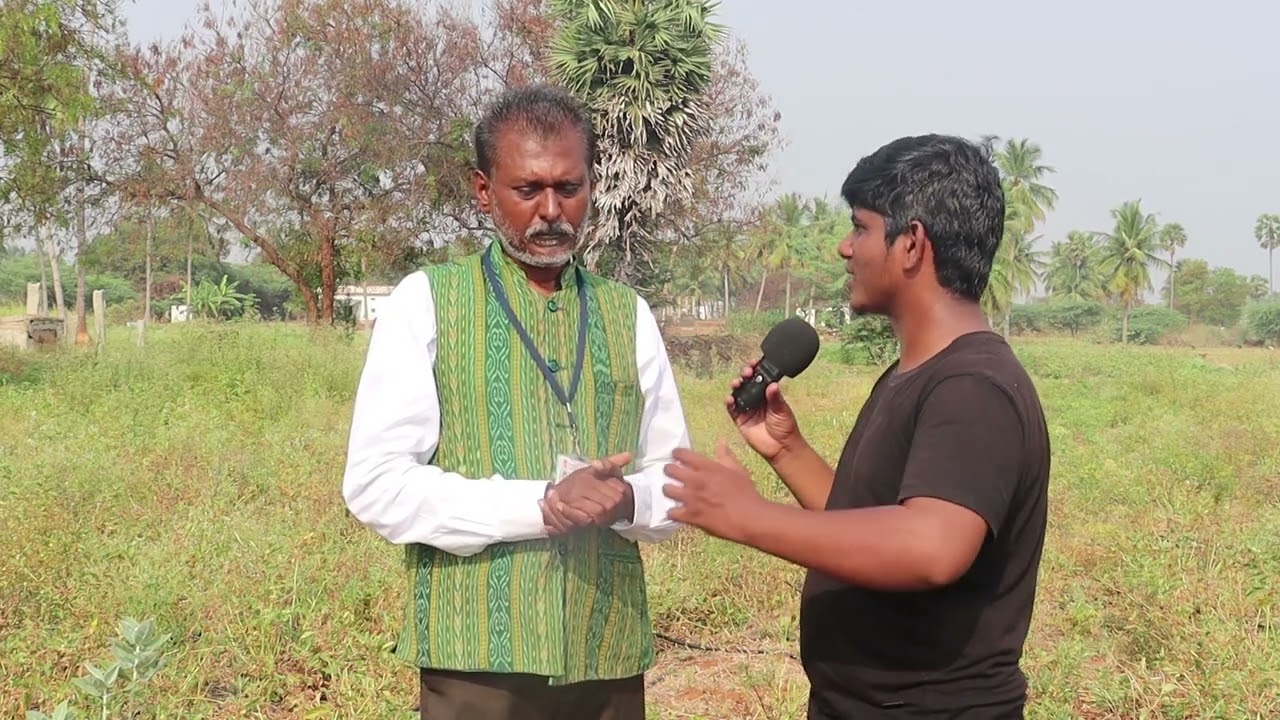 Ashwagandha cultivation in tamil/ அஸ்வகந்தா சாகுபடி / SKY Manivel/Uzhavan Magan Bala/Dr.P. Manivel