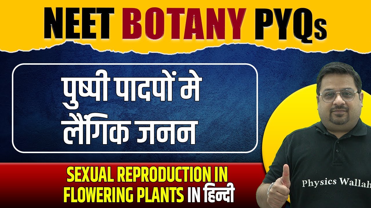 SEXUAL REPRODUCTION IN FLOWERING PLANTS - Important PYQs | NEET | पुष्पी पादपों मे लैंगिक जनन