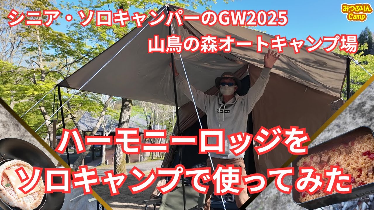 【ハーモニーロッジ】山鳥の森キャンプ場で、ハーモニーロッジをソロ使い。その使用感をレビューします。