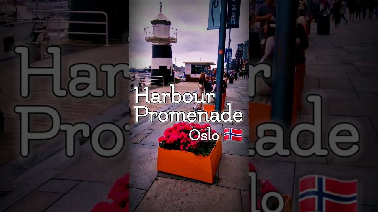 A short view of the Harbour Promenade in Oslo, Norway,  #short #shrots #shortvideo