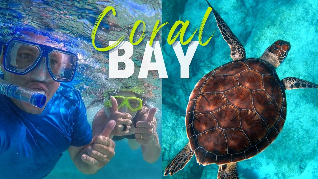 CORAL BAY и ЛУЧШИЕ КЕМПИНГ НА ПЛЯЖЕ НА РИФ НИНГАЛУ (видео 4K) 100+ субтитров