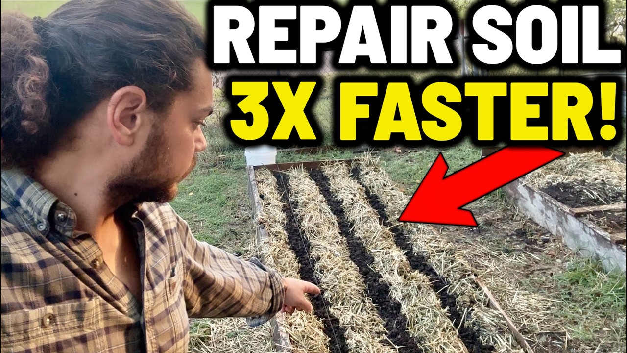The Secret to Making Compost 3x More Effective