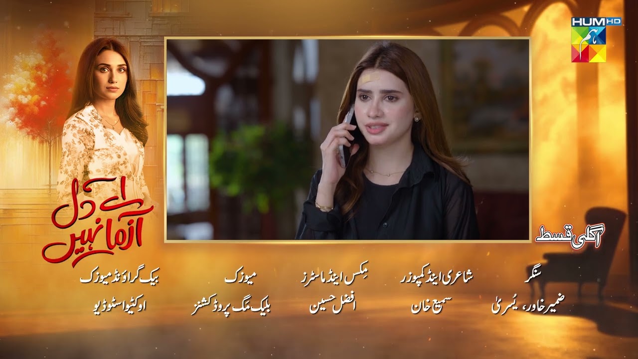 Aye Dil Aazma Nahin - Episode 29 Teaser - [Mirza Zain Baig and Hina Tariq] - HUM TV