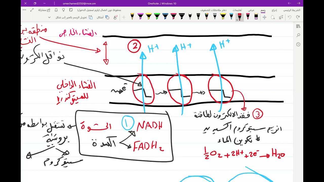 سلسلة نقل الالكترونات