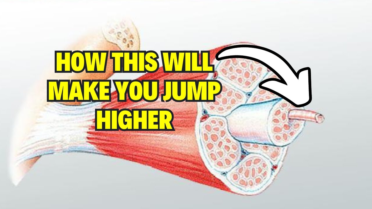 How To Train Your Tendons To Jump Higher And Get Healthier