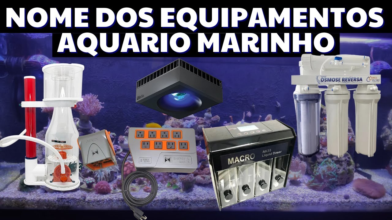 Todos Equipamentos para Manter meu Aquário Marinho | Equipamentos Aquário Marinho